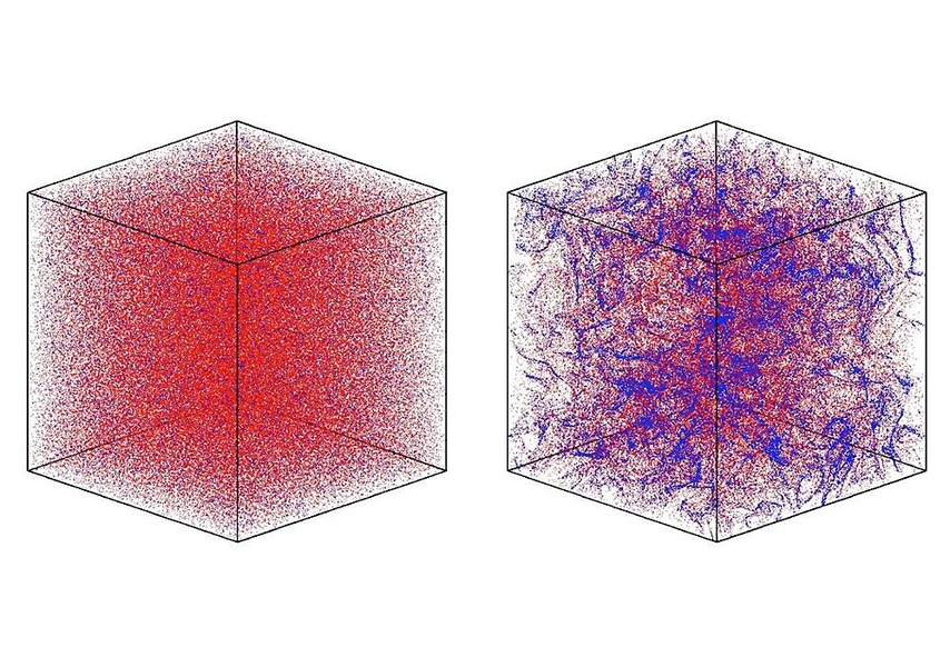 These images from a computer simulation show nonmotile cells in turbulence in the cube on the left and motile cells at right.