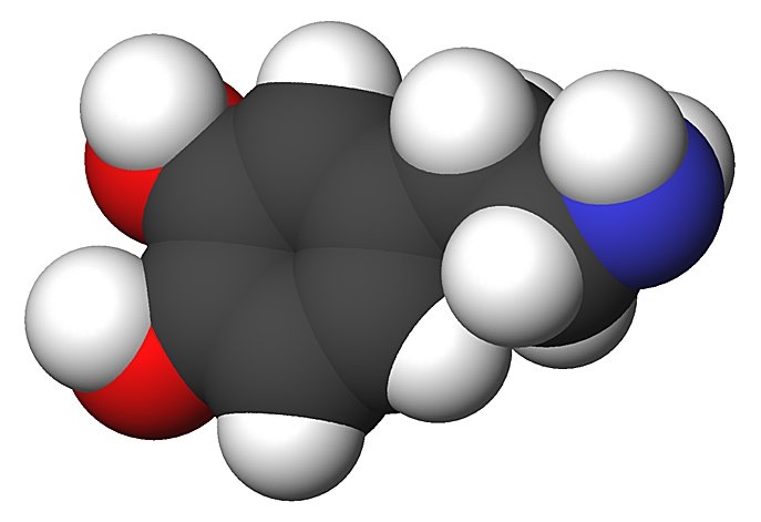 Illustration of the chemical structure of a molecule of dopamine