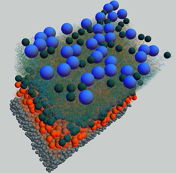 Neuroscientists reconstructed the arrangement of neurons in a section of mouse retina after imaging the tissue with electron microscopy.