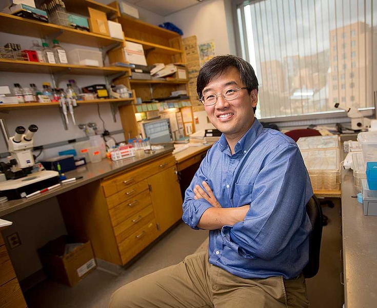 Dennis Kim