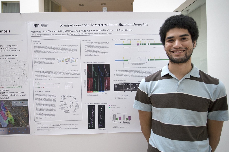 Biology student Maximilien Baas-Thomas '16 investigated the molecular role of shank, a synaptic protein that has been linked to autism. Although the summer projects have concluded, the UROP research becomes part of the collective work of the associated laboratories.