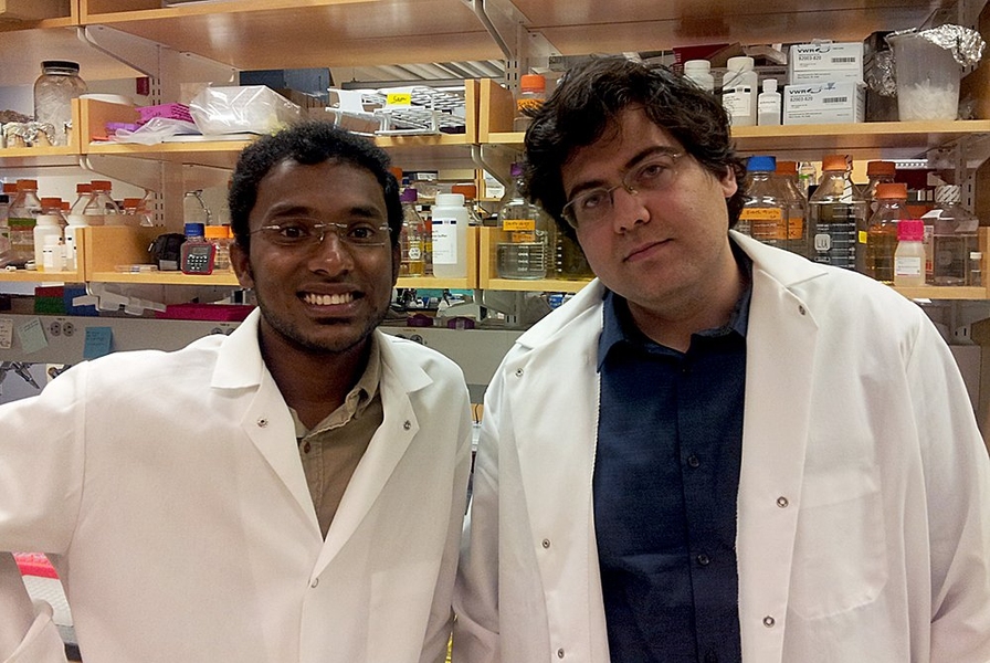 MIT graduate students Samuel Perli and Fahim Farzadfard participated in the research.