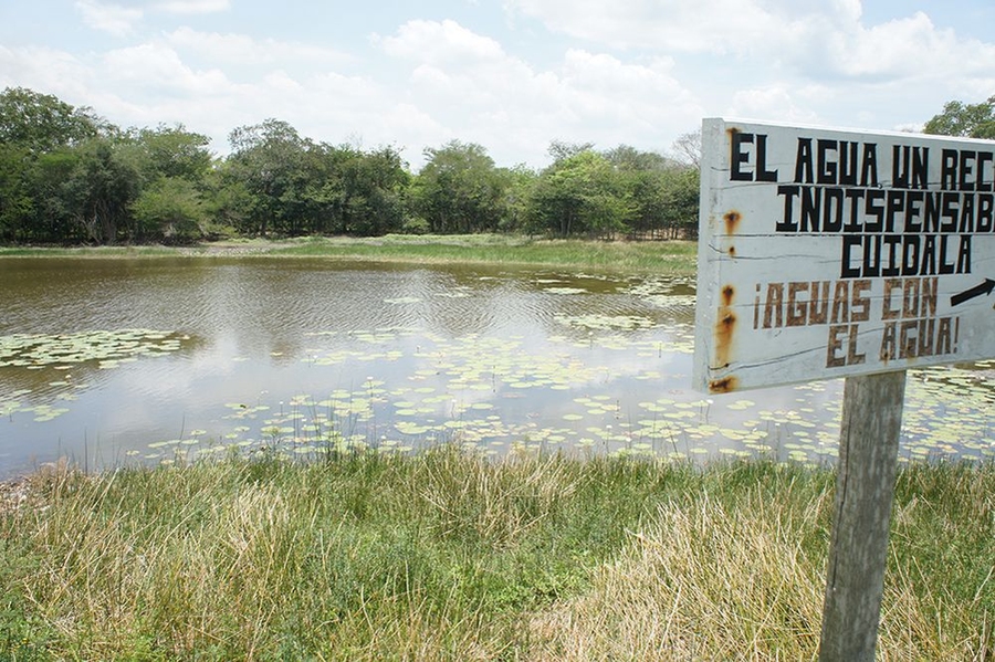 View of a lagoon in which rainwater is gathered for local consumption.