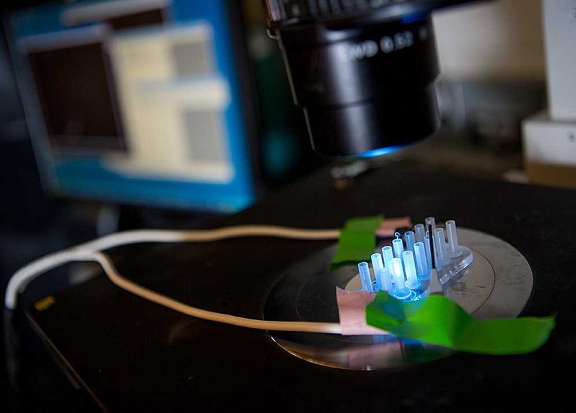 A new microfluidic technique developed by MIT researchers to quickly sort bacteria within the same strain could improve monitoring of cystic fibrosis and other diseases.