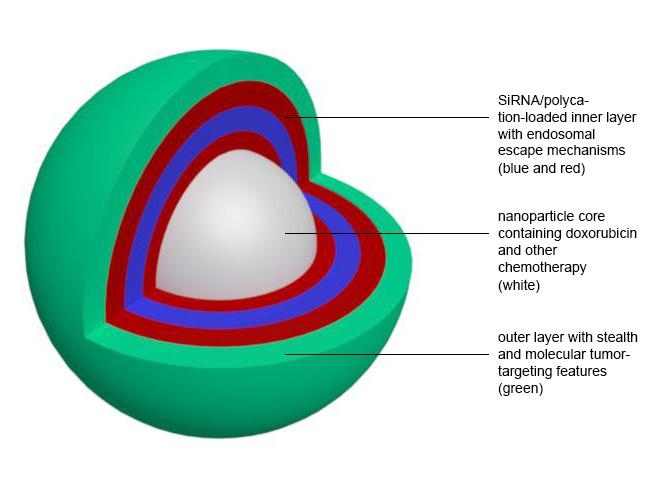 Schematic drawing of a new nanoparticle developed at MIT.