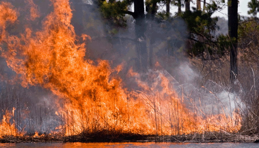 Study finds more spending on fire suppression may lead to bigger fires |  MIT News | Massachusetts Institute of Technology