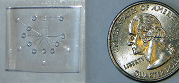 Close-up of a microfluidic device (with U.S. quarter for scale). Li used fluorescent microscopy to image and compare the differences in mucus penetration by differently configured peptides.