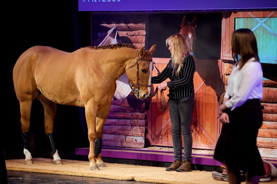 Katie Chasins (right) explains how a temperature-monitoring system called Equi-Temp could help prevent leg injuries in horse shows, as Pinky the horse stands by patiently, with handler Dawn Doyle, on the Kresge stage.