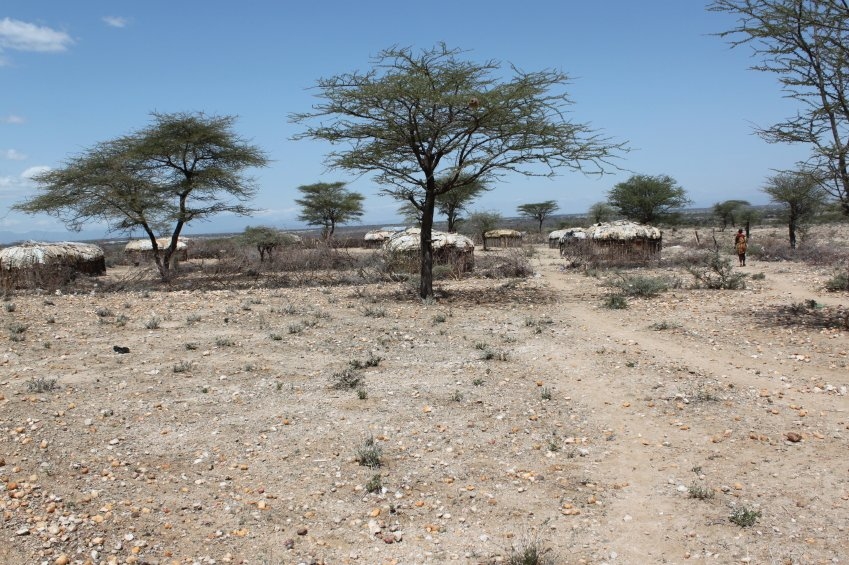 dirt road with a few trees