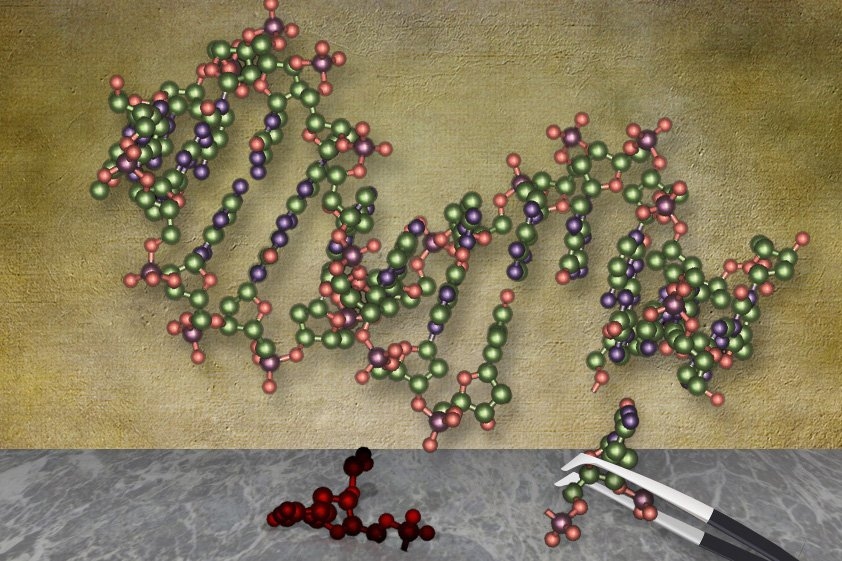 Massachusetts Institute of ... Biology Diagrams