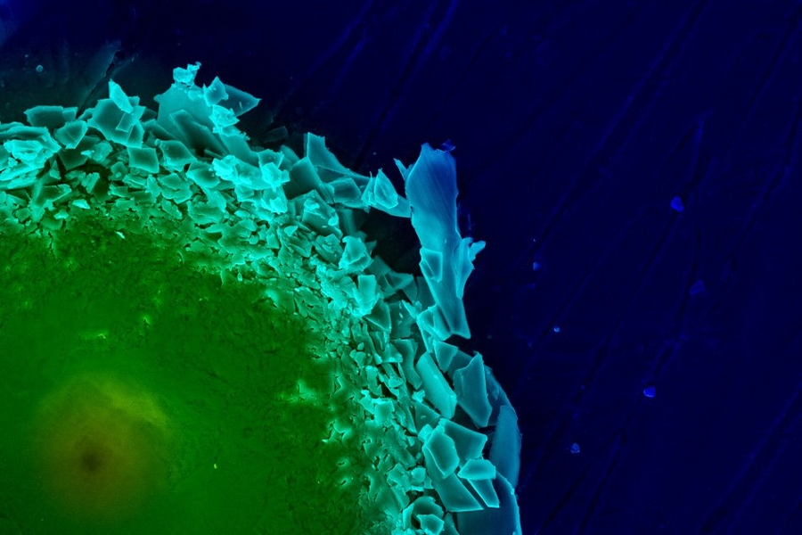 A Scanning Electron Microscope (SEM) image of the region surrounding an indentation the researchers made in a piece of shell from Placuna placenta. The image shows the localization of damage to the area immediately surrounding the stress.