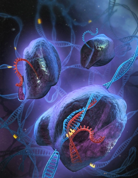 An artist's depiction of the CRISPR system in action.