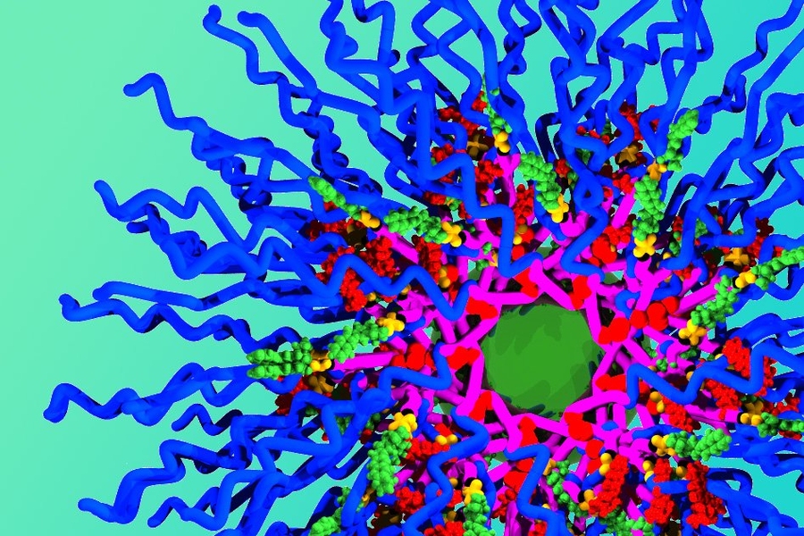 The new MIT nanoparticles consist of polymer chains (blue) and three different drug molecules — doxorubicin is red, the small green particles are camptothecin, and the larger green core contains cisplatin.
