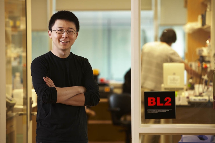 Feng Zhang
