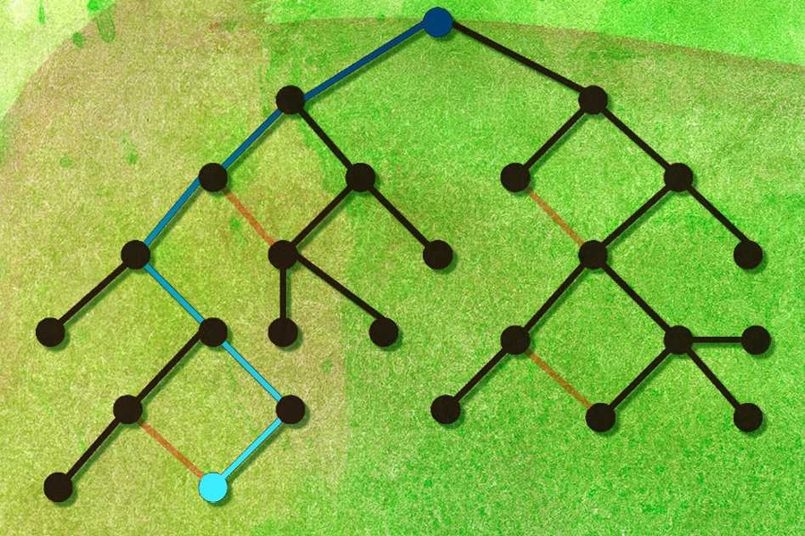 Calculating the mutual information between two nodes in a graph is like injecting blue dye into one of them and measuring the concentration of blue at the other. Crucial to the new algorithm are the elimination of loops in the graph (orange) and a technique that prevents intermediary nodes (black) from distorting the long-range calculation of mutual information (blue).