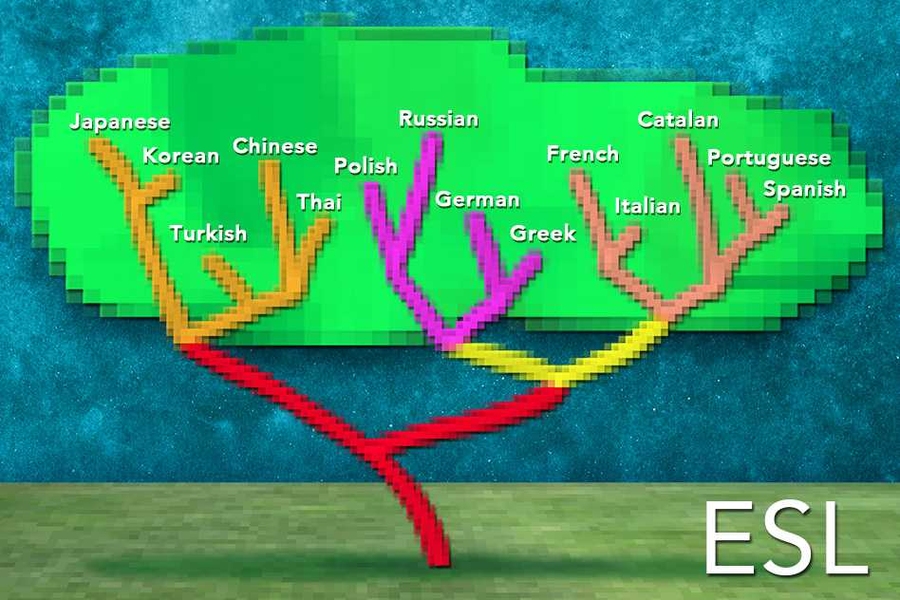 An artistic rendition of a language similarity tree based on the researchers' new algorithm. “The striking thing about this tree is that our system inferred it without having seen a single word in any of these languages,” Yevgeni Berzak says.