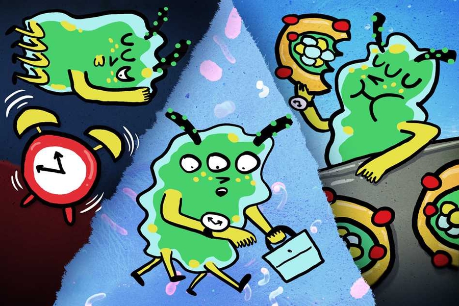 “This is the first observation for microbes, on a species by species basis, of this bucket brigade of activities that is happening, boom, every day like clockwork,” says MIT professor Edward DeLong. “You can imagine that these microorganisms sort of punch the time clock and engage in their daily activities at slightly different times, but in the same order each day, across the whole communit...
