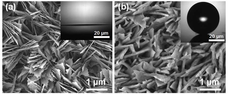 Images from a field emission scanning electron microscope show (left) an oxidized copper-oxide surface and (right) a copper-oxide surface with a 30 nanometer-thick hydrophobic coating. The inset images show a water droplet on the surface: At left, the droplet spreads out to wet the uncoated surface; at right, the droplet beads up on the hydrophobic surface, making very little contact.