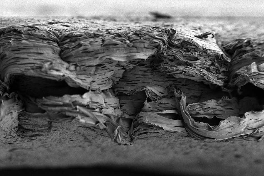 Pictured is a scanning electron micrograph of a porous, nanostructured poly(lactic-co-glycolic acid) (PLGA) membrane. The membrane is coated with a polyelectrolyte (PEM) multilayer coating that releases growth factors to promote bone repair.