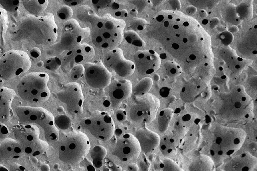 Pictured is a scanning electron micrograph of a porous, nanostructured poly(lactic-co-glycolic acid) (PLGA) membrane. The membrane is coated with a polyelectrolyte (PEM) multilayer coating that releases growth factors to promote bone repair.