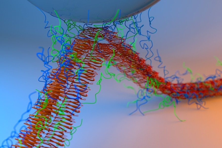 Engineered proteins stick like glue — even in water, MIT News
