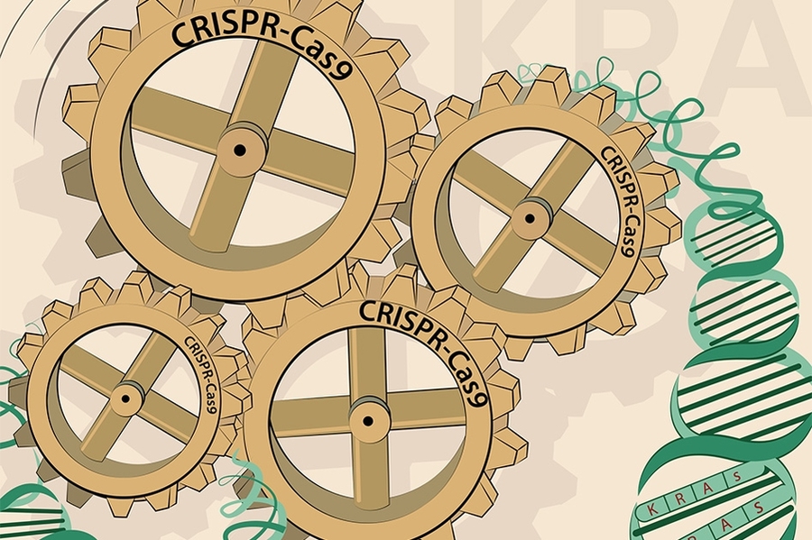 Four gears read "CRISPR-Cas9" and spin together next to DNA strand