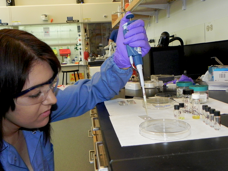 Sarah Arveson pipettes a solution of methyl ammonium lead bromide onto a glass slip. Arveson is studying methyl ammonium lead bromide thin films, which show potential as high-efficiency solar cells.