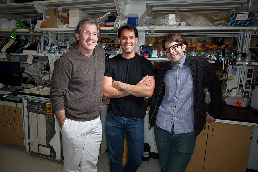 (Left to right) Tyler Jacks, Francisco Sanchez-Rivera, and Thales Papagiannakopoulos.