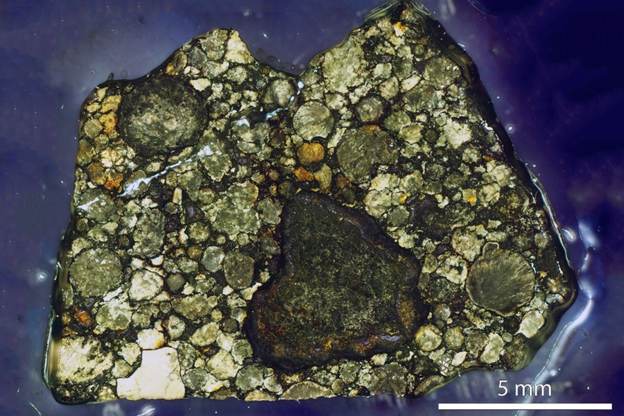 Magnified image of the section of the Semarkona meteorite used in this study. Chondrules are millimeter sized, light-colored objects.