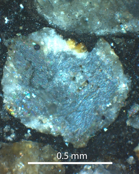 Microscope image of a single chondrule from the Semarkona meteorite used in this study. Textured, light-blue regions represent concentrations of dusty olivine, which carry a recording of ancient magnetic fields from the protoplanetary disk.