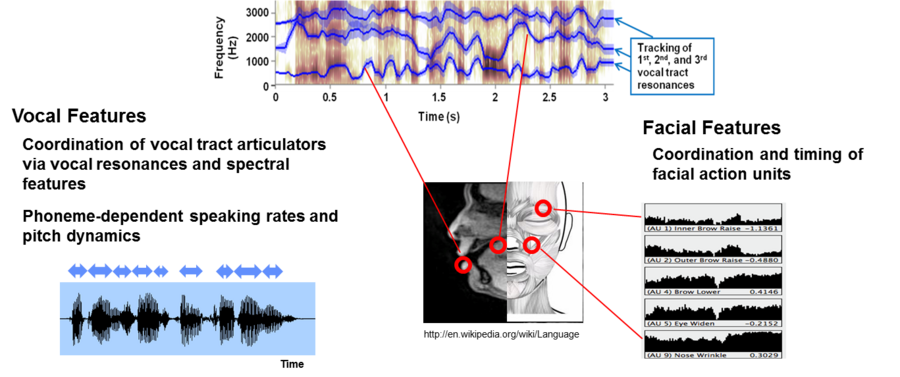 Depression-induced psychomotor retardation alters motor timing and coordination of vocal articulators and facial muscles. Resulting vocal features are based on phoneme-dependent speaking rates and pitch dynamics, coordination of vocal articulators and vocal folds, and coordination and timing of facial-muscle units during speech production.
