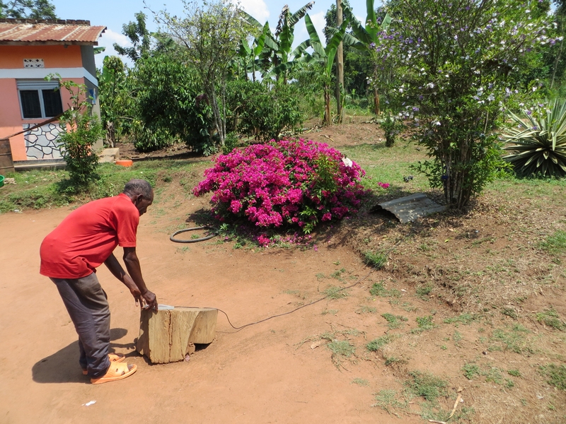 In Matugga, Uganda, a Solar Sister customer demonstrates how he arranges his Firefly Mobile's solar panel in his yard for charging during the day.
