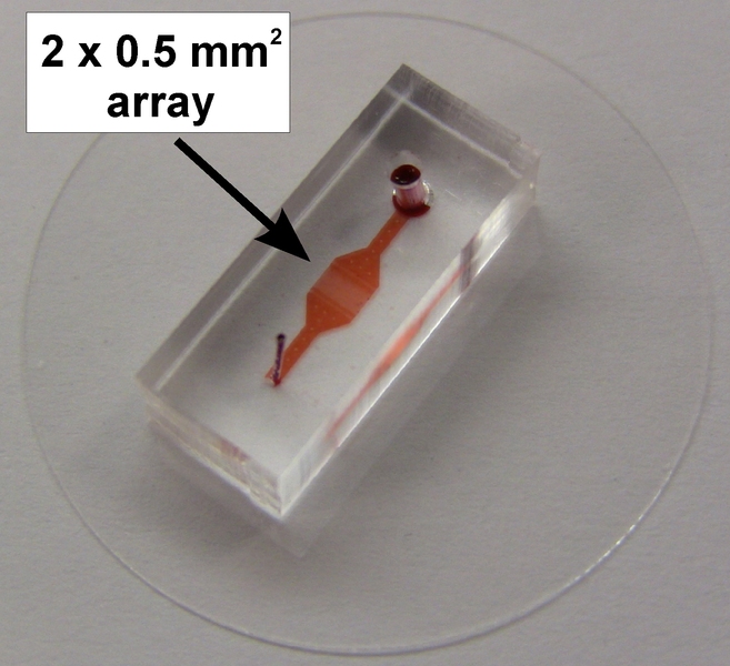 The MIT team's new microfluidic device.