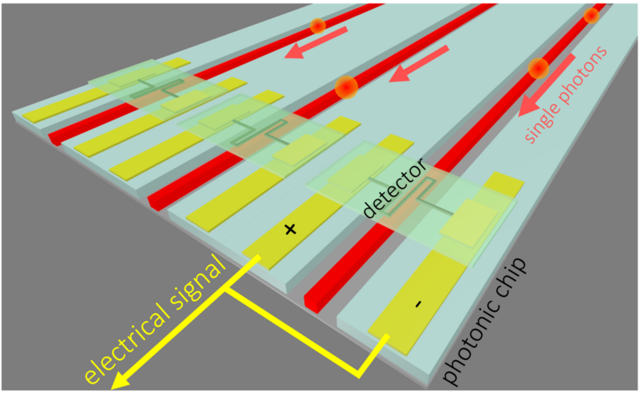 Illustration of superconducting detectors on arrayed waveguides on a photonic integrated circuit for detection of single photons.