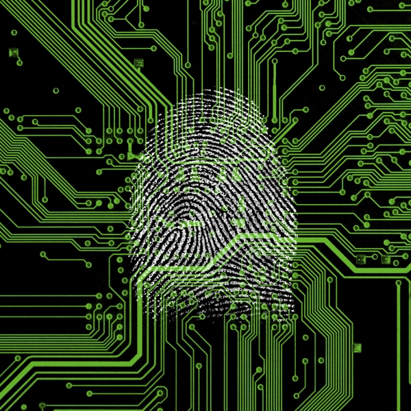 Fingerprint on top of circuit lines