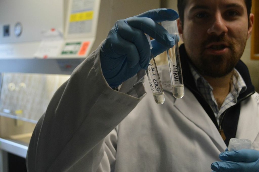 CEE postdoc Filippo Menolascina 