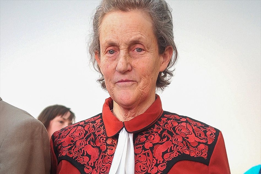 what did temple grandin study specifically in college