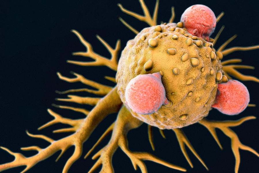 An illustration of T Lymphocytes on a Cancer Cell.
