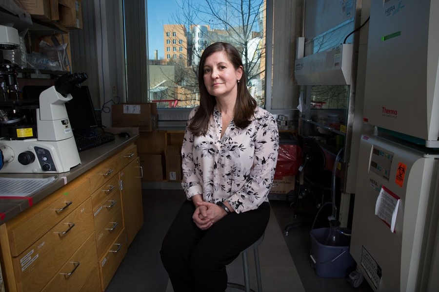 Laurie Boyer, the Irwin and Helen Sizer Career Development Associate Professor in Biology at MIT
