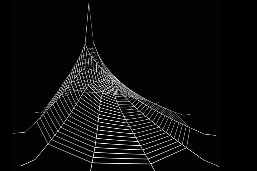 Spiderwebs and spider silk, explained