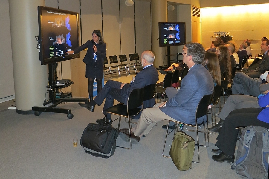 Associate Professor Marta González talks about urban mobility challenges in New York City.