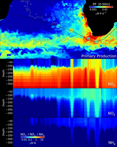 This figure shows modeled nitrogen stocks along Agulhas ring tracks. Warmer colors indicate higher concentrations of nitrogen compounds.