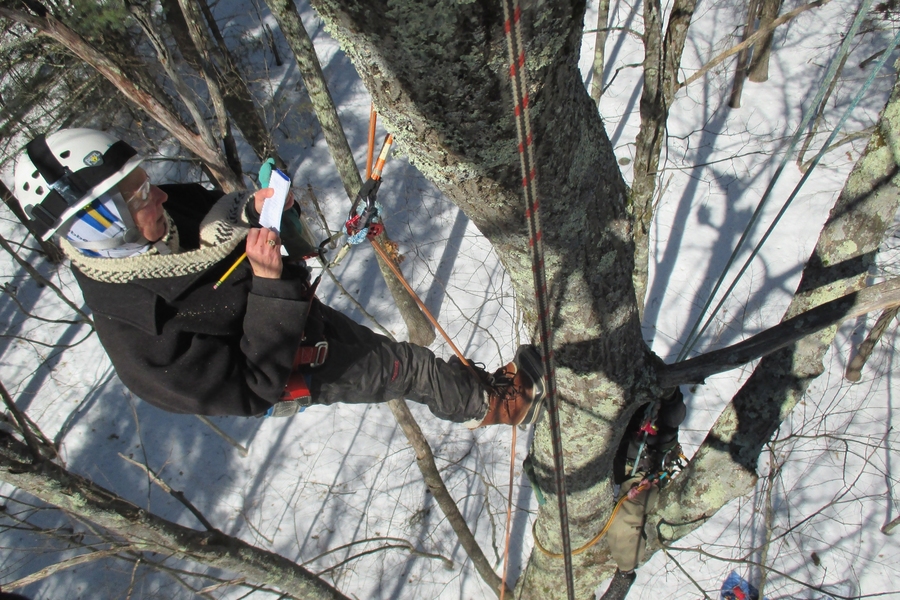 Lynda Mapes, a 2013-2014 Knight Science Journalism Fellow, takes notes in the red oak tagged BT QUEU 03.