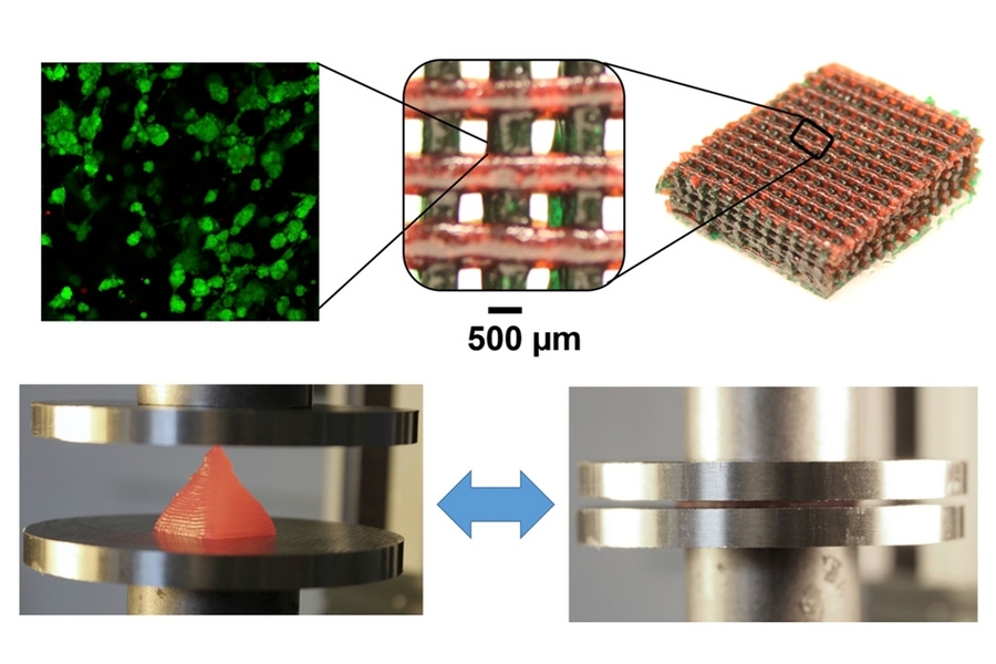At top, the structure of the hydrogel material is shown at different scales, down to the molecular level. At bottom, material 3-D printed using this method is so flexible that it can be squeezed flat, and then spring back to its full original shape.