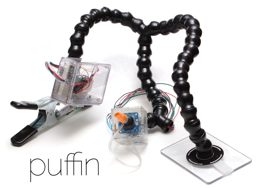 The Puffin prototype as pictured on Team Adriana's website
