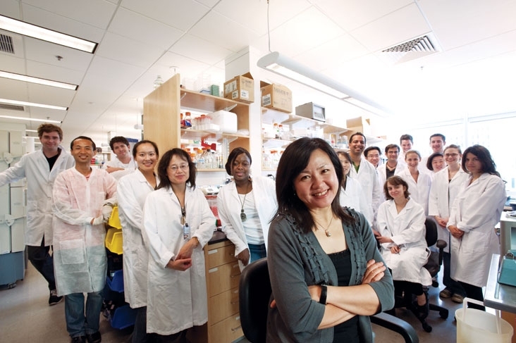 Professor Li-Huei Tsai and colleagues