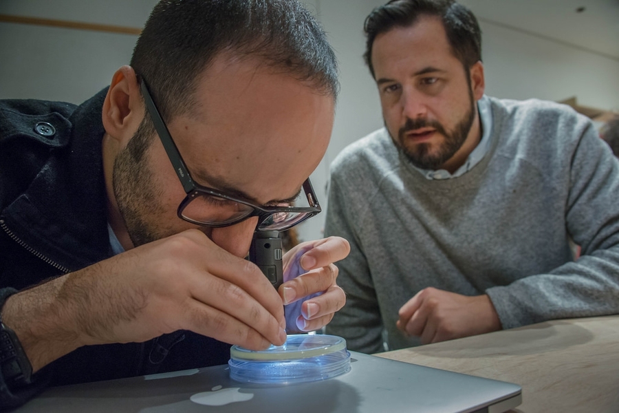 Tal Danino (left), co-taught the 2015 Art and Science of Bacteria MIT Independent Activities Period with visiting artist Anicka Yi.