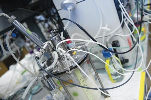 To explore their novel concept, the MIT researchers ran many parallel experiments in which they cultured laboratory yeast on defined glucose media, some with no supplemements and others with supplements added, either singly or in various combinations. They then replicated the most promising combinations in this laboratory-scale bioreactor, a device that mimics the conditions inside industrial-scal...