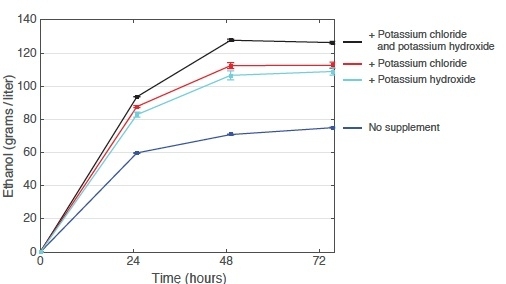 Researchers track yeast population dynamics in fuel bioethanol production