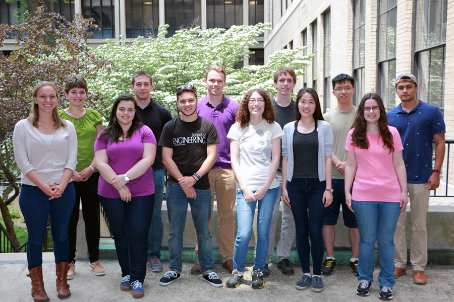 2015 MPC-CMSE Summer Scholars are: (left to right) Lisa Savagian, Katherine Greco, Mariely Caraballo Santa, Alexander Constable, Jahzeel Rosado Vega, Stephen Gibbs, Lena Barrett, Bart Machielse, Zhenni Lin, Nathan Zhao, Olivia Fiebig, and Jonah Sengupta.